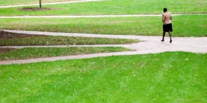 Choosing the Right Grass for Your Lifestyle