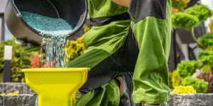 What Fertilizer Should You Use for a Healthy Lawn?
