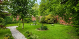Lawn Renovation: From Bare Spots to Full Coverage
